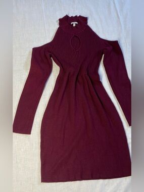 Charlotte Russe Ribbed Turtleneck Dress in Burgundy
